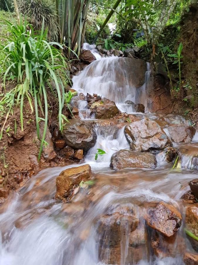 Finca Turistica Los Rosales Pereira Ngoại thất bức ảnh