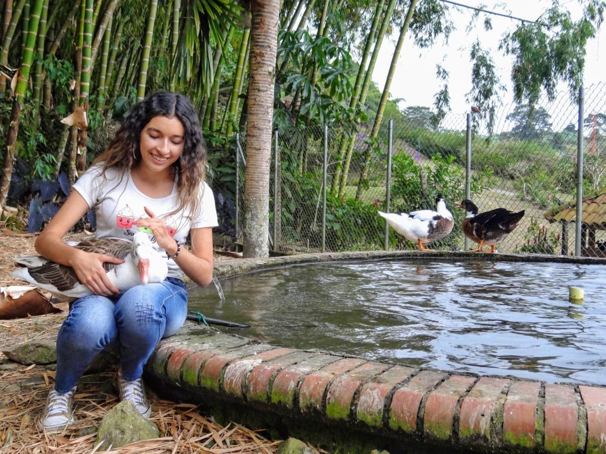 Finca Turistica Los Rosales Pereira Ngoại thất bức ảnh